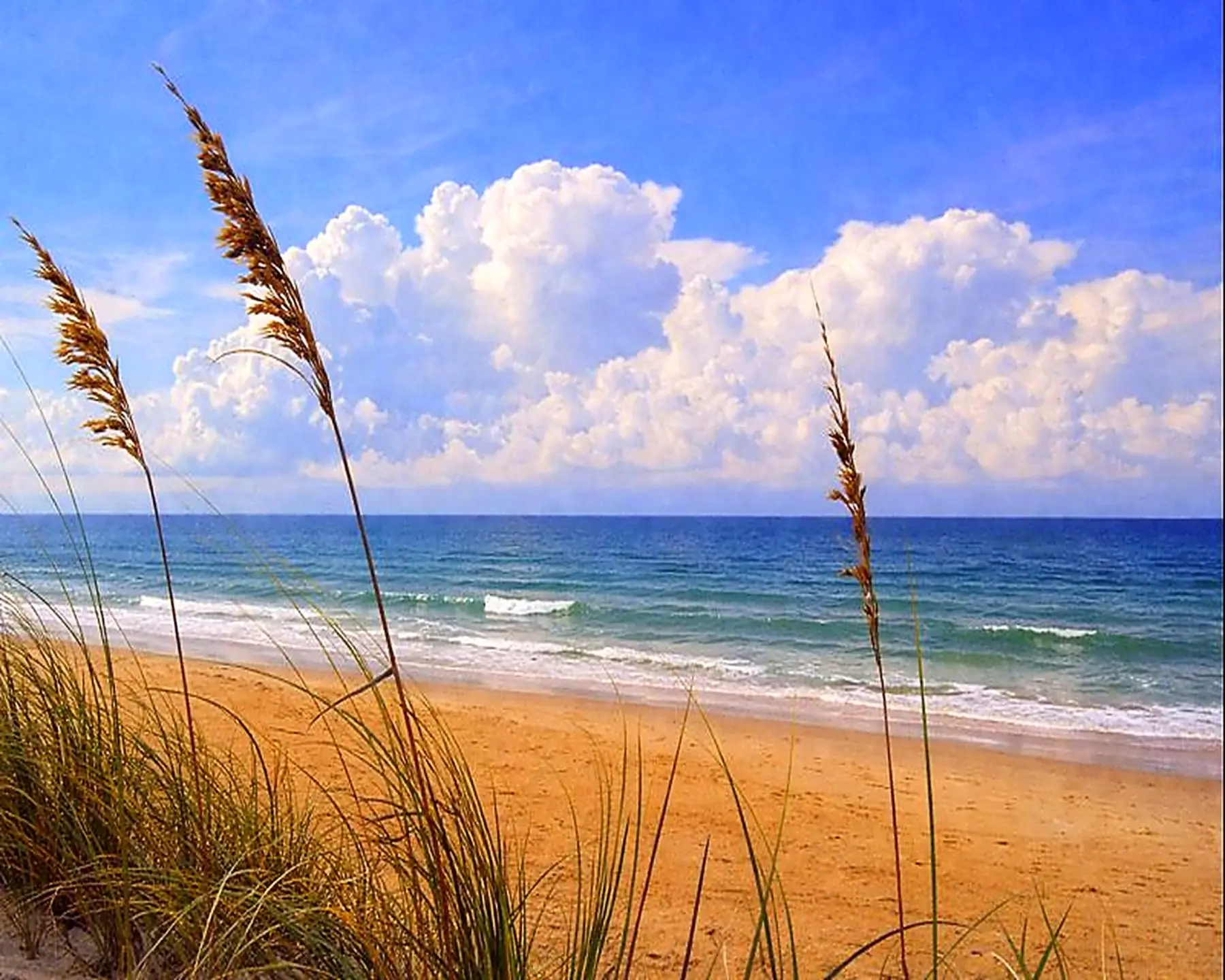 Southern Outer Banks coastline with sea oats and surf